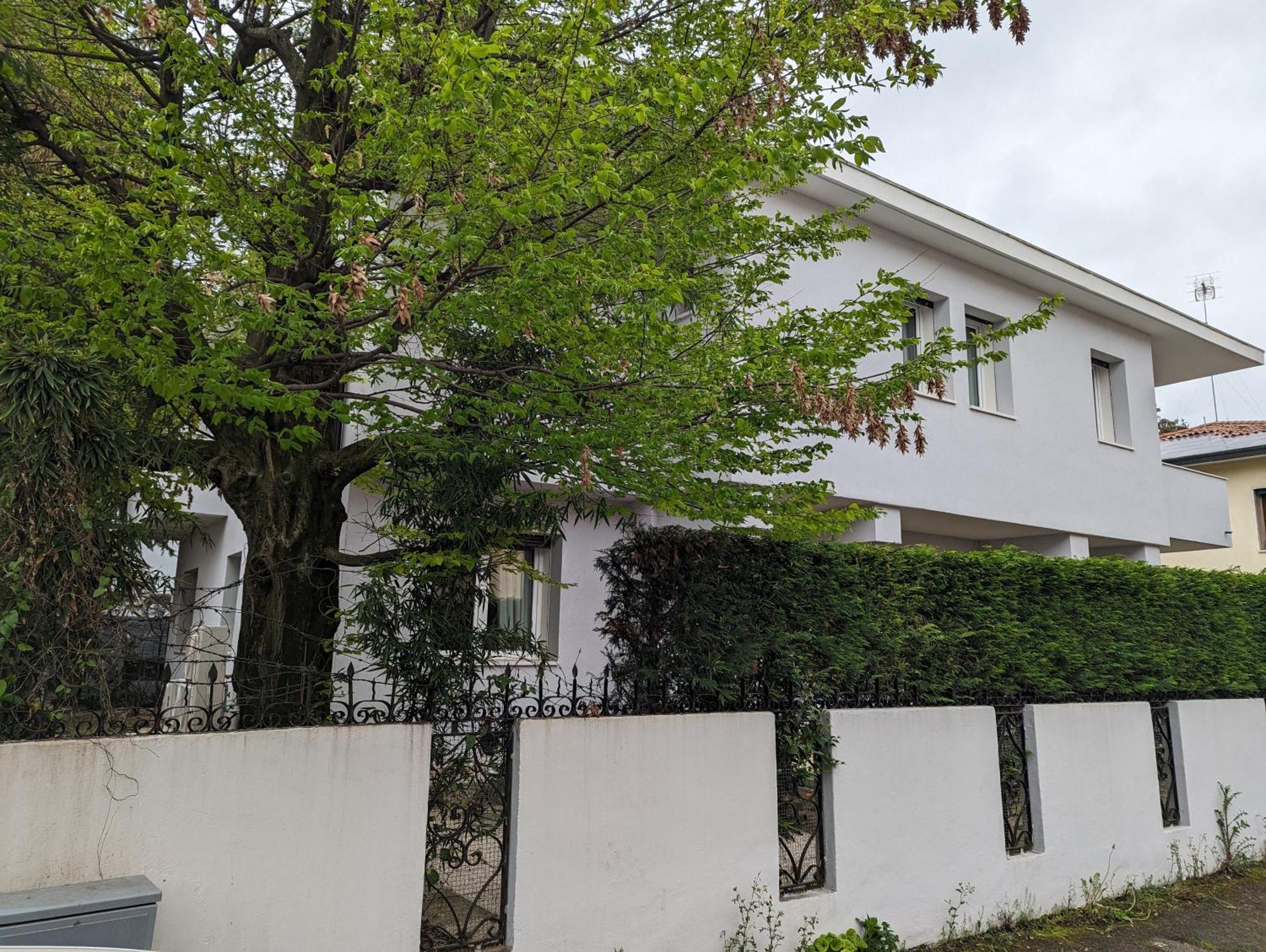 Spazioso Appartamento In Casa Singola Padova Con Giardino Pádua Exterior foto